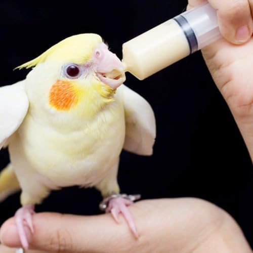 Bird Feeding Syringe Set with Tubes, 5ml+10ml+60ml | Pet Feeding Syringe, Plastic Syringes for Breeding Small Pets, Oil or Glue Applicator, 5ml+10ml+60ml Feeder+9cm Feeding Tube