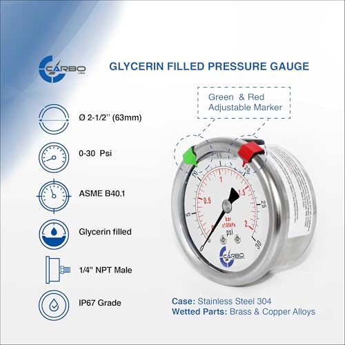 30 PSI Glycerin Liquid Filled Pressure Gauge, 2.5" Dial, 1/4 NPT Back Mount, 304 Stainless Steel Case, Brass Wetted Parts, Dual Scale PSI/Bar - ASME B40.1 Grade A - size: 0-30 PSI, style: STANDARD