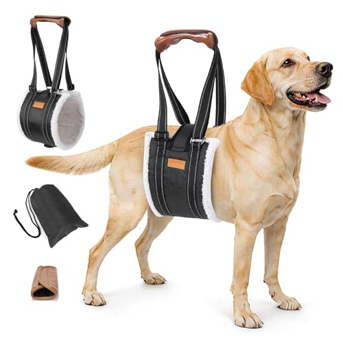 Dog Lift Harness for Large Dogs, Dog Sling for Back Leg,Senior,Disabled Dog | Comfortable Adjustable Dog Carry Harness with Handle, Dog Mobility Aids for Walking/Stand up After Hip Surgery/CCL Injury - size: L / XL：80 - 350 Lbs