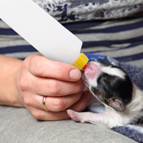 5 Sets Goat Bottles for Feeding Baby Small Animal Calf Lamb Milk Jug Plastic Livestock Milk Bottles for Baby Goats Calves Lambs Portable Farm Feeding Kit 9.05 x 2.36 in