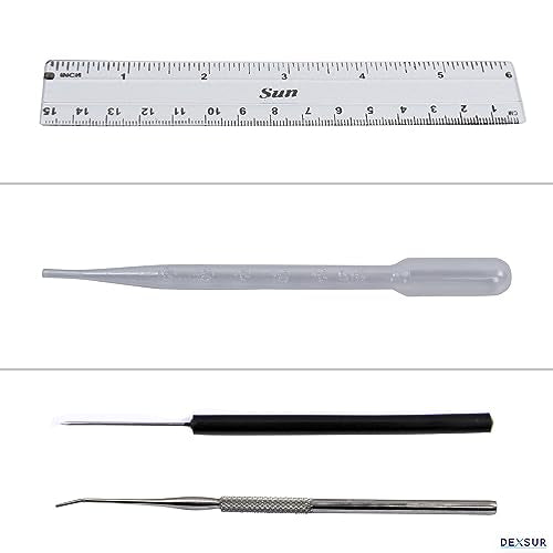 Dissection Kit for Biology Lab & Anatomy - Stainless Steel Scalpel Knife Set for Medical & Veterinary Students, KIT1023-7 Pcs - style: KIT1023 - 7 Pcs