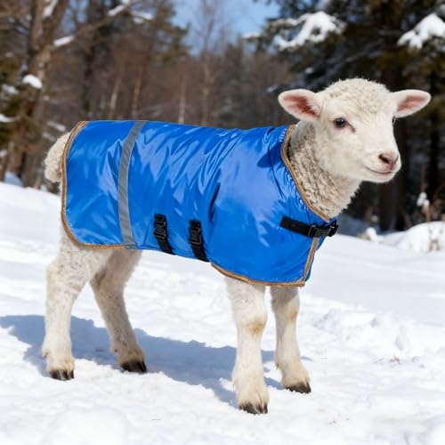 2pcs All-Weather Calf Blanket with Fleece Lining & Windproof Shell - Versatile Goat Blankets for Winter and Durable Sheep Blanket with Full Belly Coverage (Plucked Blue 2pcs) - color: Plucked Blue