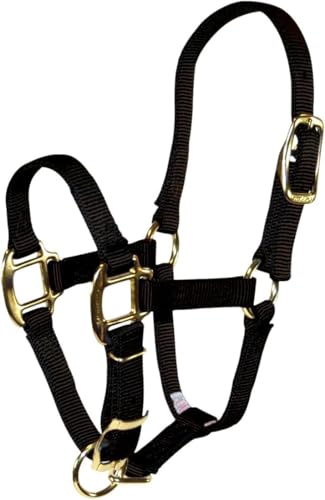 Hamilton Quality Adjustable Horse Halter, 100-200 lbs, Black | Premium Quality 3/4" Triple Ply Nylon, Pony/Mini Donkey, Adjustable Chin Strap, Rolled Throat, Brass Plated Hardware - color: Black, size: Pony, 100-200lbs