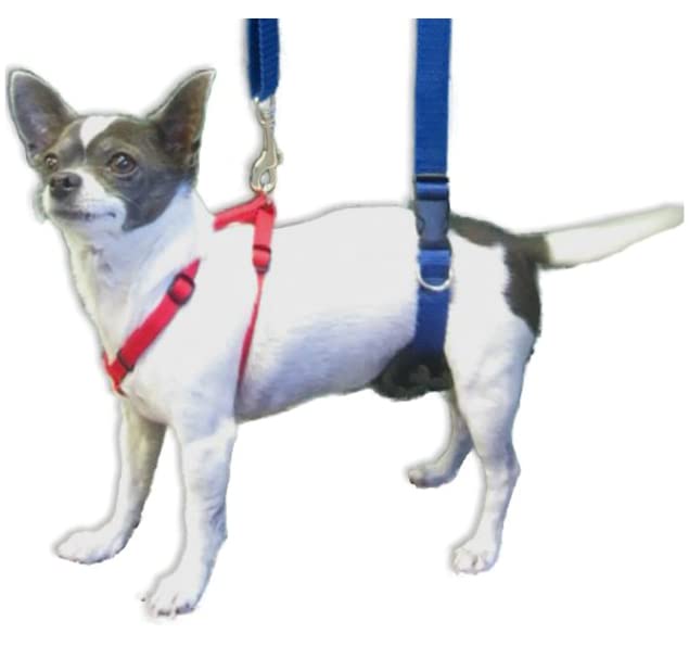 GINGERLEAD Dog Back Support IVDD Sling Harness, X-Small & Dachshunds | Fits Pets Under 25 lbs and Doxies, Walking Aid for K9s with Disc Disease, Fully Adjustable, Chest Harness NOT Included - size: X-Small - Male