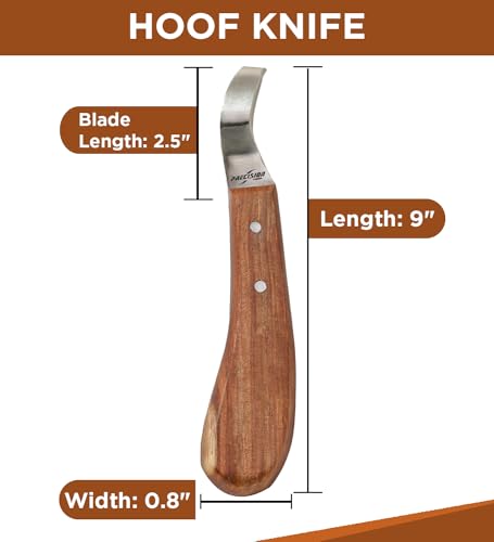 Hoof Knife Loop Blade Japanese Stainless Steel