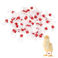 M METERXITY 50-Pack Adjustable Chick Leg Bands, 0.79" x 0.2" Silicone Chicken Leg Brace for Chicks/Ducks/Birds [Red] Poultry Leg Bands - color: Red