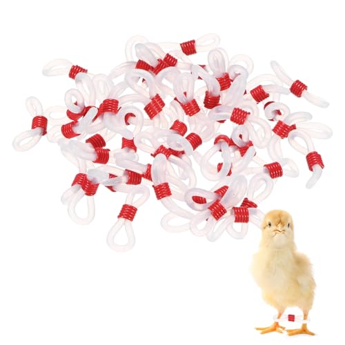 M METERXITY 50-Pack Adjustable Chick Leg Bands, 0.79" x 0.2" Silicone Chicken Leg Brace for Chicks/Ducks/Birds [Red] Poultry Leg Bands - color: Red