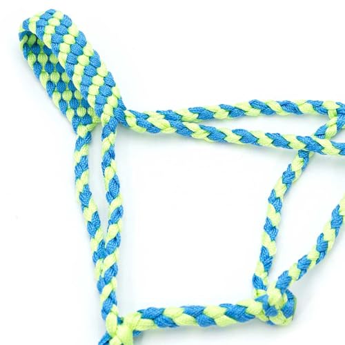 Jeffers Equine Braided Mule Tape Halter with 10' Detachable Lead Rope Set for Horses, 14 to 18 Hands - Stylish Design with Adjustable Poll Strap, Easy to Use Western Tack - Turquoise & Lime Green - color: Turquoise & Lime Green