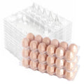 Plastic Empty Eggs Cartons 12 Count Clear Tray Bulk 160 Pack | 2x6 Grid Trays Egg Containers, Clear Stackable Fridge Storage for Chicken Farm Markets, Refrigerator Restaurant Use