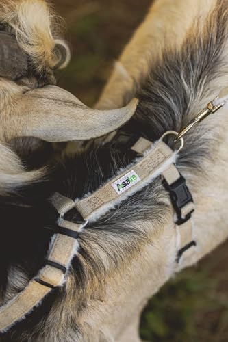 Asatre Adjustable Lined Hemp Goat Harness, Sheep, Livestock Halter, Durable Multi-Clasp Harness, Eco-Friendly Livestock Gear, Comfortable Farm Pet Accessory (Medium) - size: Medium