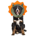 IEUUMLER Inflatable Recovery Dog Collar, Protective Donut Cone, Adjustable Soft Collar for Dog and Cat After Surgery Prevent from Biting & Scratching EU002 - Green Demon M - color: Green Demon, size: Medium (Neck:8''-10'')