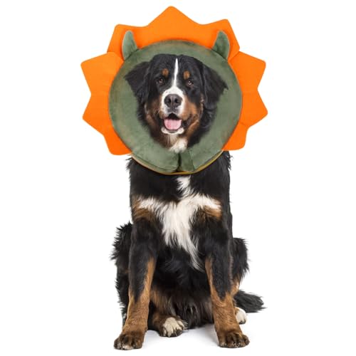 IEUUMLER Inflatable Recovery Dog Collar, Protective Donut Cone, Adjustable Soft Collar for Dog and Cat After Surgery Prevent from Biting & Scratching EU002 - Green Demon M - color: Green Demon, size: Medium (Neck:8''-10'')