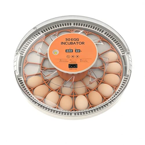 30 Egg Incubator with Automatic Temperature Control, 360° Auto Egg Turning, Humidity Display, LED Candler