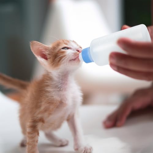 UPKOCH 3Pcs Cat Nursing Bottle Set PET Feeding Bottles for Kittens and Puppies Replacement Nipples for Newborn Animals