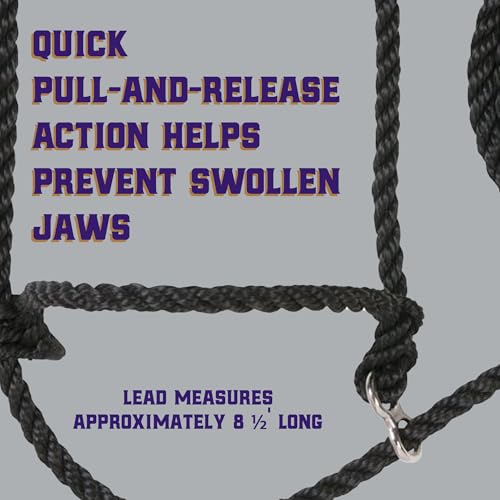 Weaver Leather Livestock Kirk Stierwalt Breaking Halter,Black,8 1/2' - color: Black