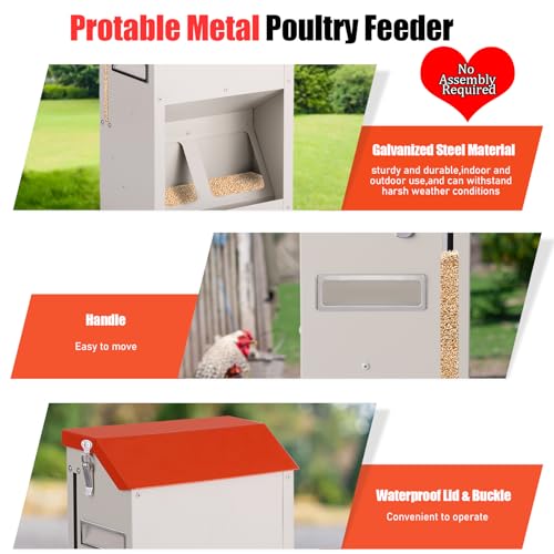 Small Chicken Feeder Gravity Feed Chicken Food Dispenser No Waste | Prevent Waste, Holds 10 Pounds of Feed, 3-4 Hens Can Eat At One Time, For Home Backyard Coop Wall Mount, Space-Saving