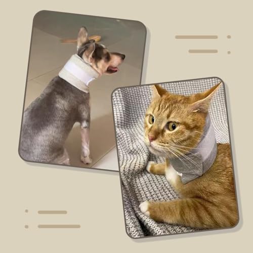 Cat Neck Brace Cover - Adjustable Elizabethan Collar for Post-Surgery Recovery, Anti-Lick Wound Protective Cervical Cone for Small Medium Large Dogs Cats (Neck Girth 7.5-15.0" Depth5.1 - color: Grey, size: L