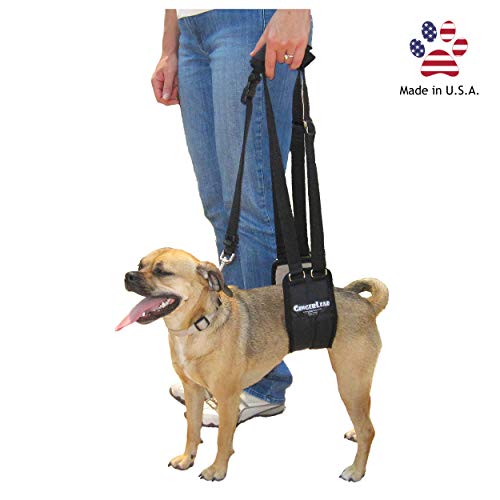 GINGERLEAD Dog Rear Sling Support Harness, SM Female, Machine Wash & Dry | Fits Small to Medium Size Dogs or Larger Barrel-Chested Breeds like Boxers, Bullies. Padded, Integrated Leash. Made in U.S.A. - size: Small - Female