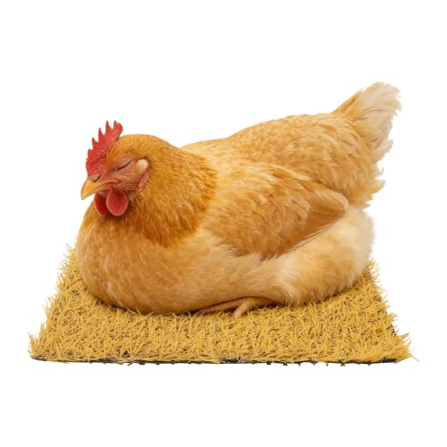 Chicken Nesting Pads, 24Pcs Soft Coop Nest Box Mats 11.8"x11.8" | PP & PE, Slip-Resistant Bottom, 1.18" Thickness, Artificial Grass Nesting Pads, Chicken Coop Pads, for Duck Rabbit Guinea Pig