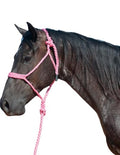 Cashel Flat Braid Halter and Leadrope, Pink
