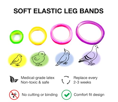 100PCS Baby Poultry Leg Bands, Soft Elastic Chicken Leg Rings for Identification, Comfort Fit for Chicks Ducklings Bantams Pigeons Parrots Canaries and Small Birds (Medium (Size 4) 1/4”) - size: MEDIUM (Size 4)1/4”