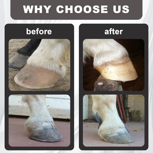 Mini Hoof Rasp for Horses, Farrier Rasp for Goat Feet Hooves,Ergonomic Grip | Carbon Steel Portable Hoof Trimming Tool, Removes Excess Hoof and Smooths Rough Edges for Foals, Goats, Ponies & Donkeys