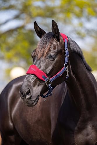 LeMieux Vogue Fleece Headcollar - Halter & Leadrope - Extra Padding, Adjustable at Curb and Poll Strap - color: Burgundy / Navy, size: Pony