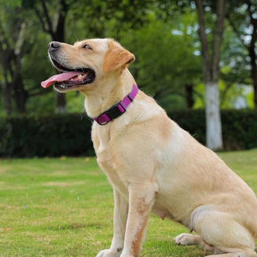 Waterproof Dog Collar, Easy to Clean Rubber Dog Collars with Quick Release Buckle Fits Small Medium or Large Dogs (Purple, M < 11.8-18.5 inch) - color: Purple, size: M (11.8-18.5 inch)