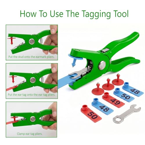 TPU Livestock Ear Tags100pcs 01-50 Number with Ear Tagger Pliers Tool, Green & Red Numbered Animal ID Tags for Sheep Goat Cattle Pig, Durable Farm Identification Tools (50 Pcs Each Color) - color: Blue and Yellow