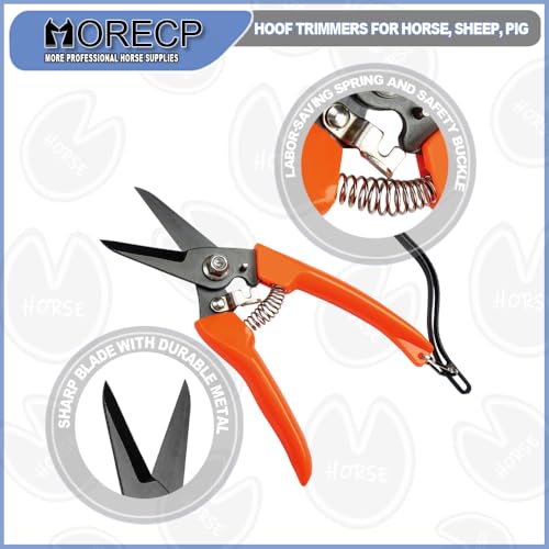 Hoof Trimming and hoof rasp Tools for Goats, Horses,Durable Carbon Steel Farrier Tools