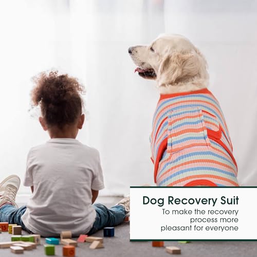 Kuoser Recovery Suit for Dogs Cats, Soft Dog Surgery Suit Female Male Spay | Professional Dog Onesie for Surgery, Substitute E-Collar & Cone, Prevent Licking Dog surgical suit Pet Neuter Suit - color: Colorful Stripes, size: X-small (Back:8.3-11.4'', Weig