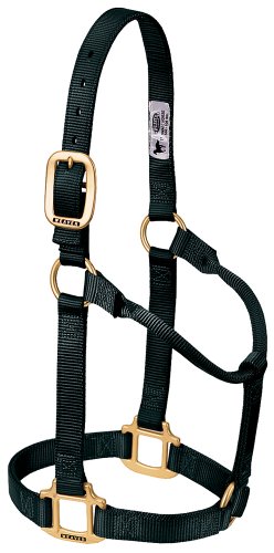 Weaver Leather Original Non-Adjustable Nylon Horse Halter, Black, Yearling