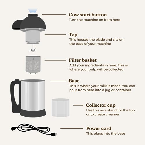 Almond Cow Nut Milk Maker Machine, Plant-Based Milk Maker for Almond, Oat, Cashew, Soy Milk, Stainless Steel, No Straining Needed - Makes 5-6 Cups, 120V - size: Almond Cow