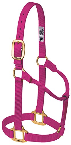 Weaver Leather Original Non-Adjustable Nylon Horse Halter, Raspberry, Yearling