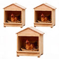 Wooden Chicken Nesting Box 3 Portable Chicken Coop with Detachable Ramp, Indoor/Outdoor Hen House for Egg Laying - Can be Wall-Mounted or Ground Use, Easy Clean Poultry Supplies for Backyard Farm - size: 3 Pack | 12.6"L x 11.8"W x 15.0"H