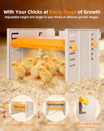 Chicken Coop Heater - Briidea 80W Chick Brooder Heating Plate with Constant Heat, 10 PET Cleaning Film, Adjustable Height & Angle, Cozy as a Mother Hen for 15 Small Poultry 10" x 10" - color: Fence style
