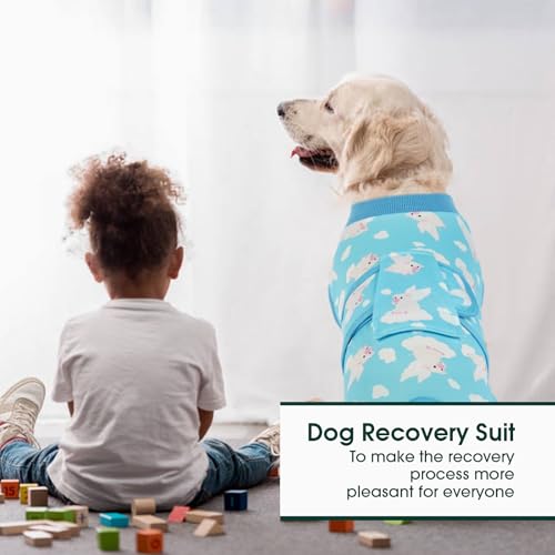 Kuoser Recovery Suit for Dogs Cats, Soft Dog Surgery Suit Female Male Spay | Professional Dog Onesie for Surgery, Substitute E-Collar & Cone, Prevent Licking Dog surgical suit Pet Neuter Suit - color: Fly Piggy, size: X-small (Back:8.3-11.4'', Weight:4-7