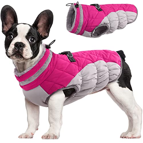 Dog Coat for Small Dogs, Fleece Dog Winter Jacket with Harness | Puppy Cold Weather Coats Reflective Pet Puffer Vest with Zipper Water-Resistant Warm Dogs Snowsuit Windproof Rose Pink XS - color: Rose Red, size: XS(chest:14in)