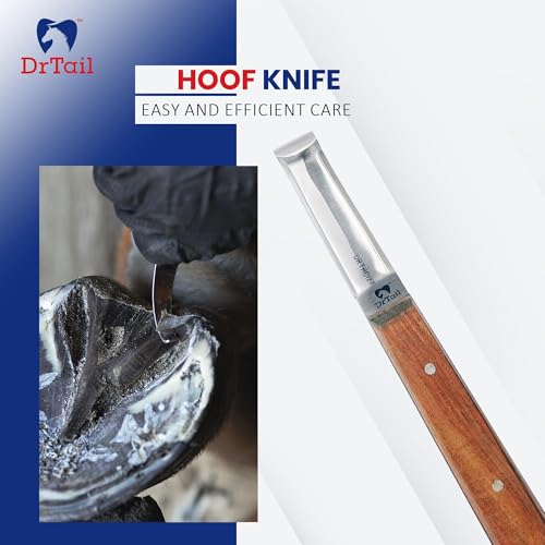 Hoof Knife Farrier Tool - Stainless Steel Knife for Horses, Goats & Livestock Best Right-Left Handed Knife Narrow, Farrier & Hoof Cleaning Tool - style: Regular Double Edge