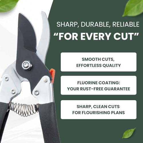 Saboten Japanese Pruning Shears 7.9" – Professional Bypass Garden Clippers, Made in Japan, Sharp Carbon Steel Blade with Sap-Resistant Fluorine Coating, Cuts up to 3/4 in (20 mm)