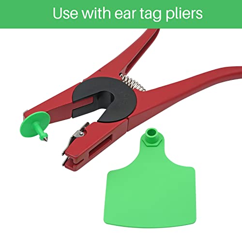 4.1" L×3.5" W Cattle Ear Tags Big Blank 100PCS Livestock Identification TPU | Cow Ear Tags for Cattle Laser Tags for Cows Pigs Hog Goats Sheep Calf Animal Goat Sheep Earring Tags Non-fading (Green) - color: 6-green