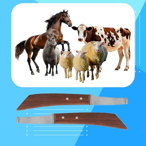 Hoof Knife Single Sided Edge Wide Straight Blade – Stainless Steel Straight Blade Farrier Tool with Wooden Handle, Multipurpose Hoof Trimming Knife for Livestock, 3-Inch Blade, 8.5-Inch Overall - style: Extra Long Shaft - RH