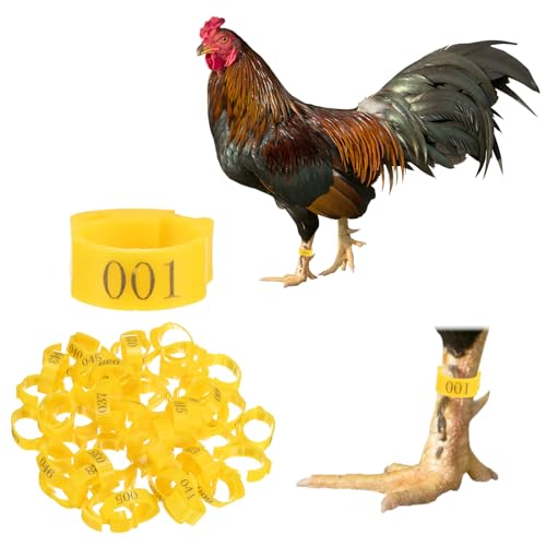 M METERXITY 50-Pack Adjustable Chickens Leg Bands, 17-22 mm Plastic Poultry Identification Chicken Leg Rings for Turkey/Duck/Goose/Chicks, Colorful Numbered Foot Clip on Tags [Yellow] - color: Yellow