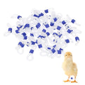 M METERXITY 50-Pack Adjustable Chick Leg Bands, 0.79" x 0.2" Silicone Chicken Leg Brace for Chicks/Ducks/Birds [Blue] Poultry Leg Bands - color: Blue