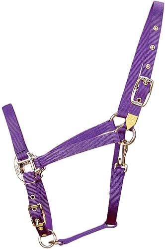 Hamilton Deluxe Adjustable Horse Halter, 800-1100 lbs, Purple | Premium Quality 1" Triple Ply Nylon, Average/Arabian/Yearling Draft, Adjustable Chin Strap, Throat Snap, Solid Brass Hardware - color: Purple, size: Average, 800-1100lbs