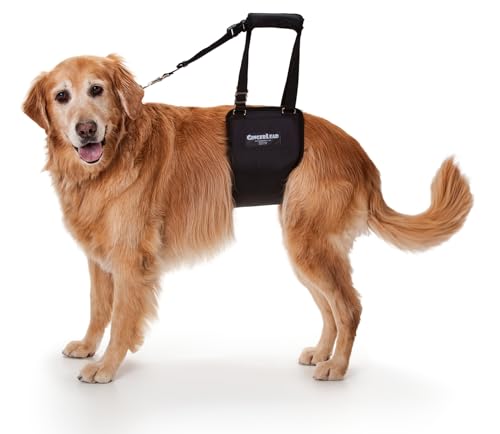 GINGERLEAD Dog Support Sling Rear Harness, Large Female, Machine Wash & Dry | Padded Rear Lift, Integrated Leash, Assist Senior K9s or Recovery from Knee/TPLO, Hip or Back Surgery, Made in U.S.A. - size: Large - Female