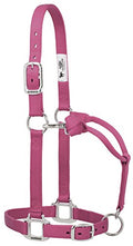 Weaver Leather Original Adjustable Nylon Halter