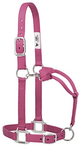 Weaver Leather Original Adjustable Nylon Halter