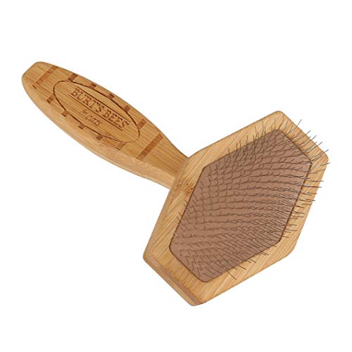 Burt's Bees for Pets Slicker Brush | Removes Loose Cat Fur, Prevents Matting | Ideal for Daily Grooming, Smooth Coat | Removes loose fur, prevents matting, ideal for daily grooming, smooth coat, gentle bristle design daily