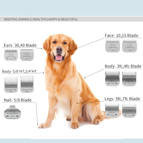 5FC Detachable Dog Blades Compatible with Andis/Oster A5 Grooming | Compatible with wahl km10 dog clipper,Cut Length 1/4”(6.3mm),Made of Ceramic Blade & Stainless Steel Blade,2 PACK - color: Silver, size: 5FC 6.3mm (2 Pack)